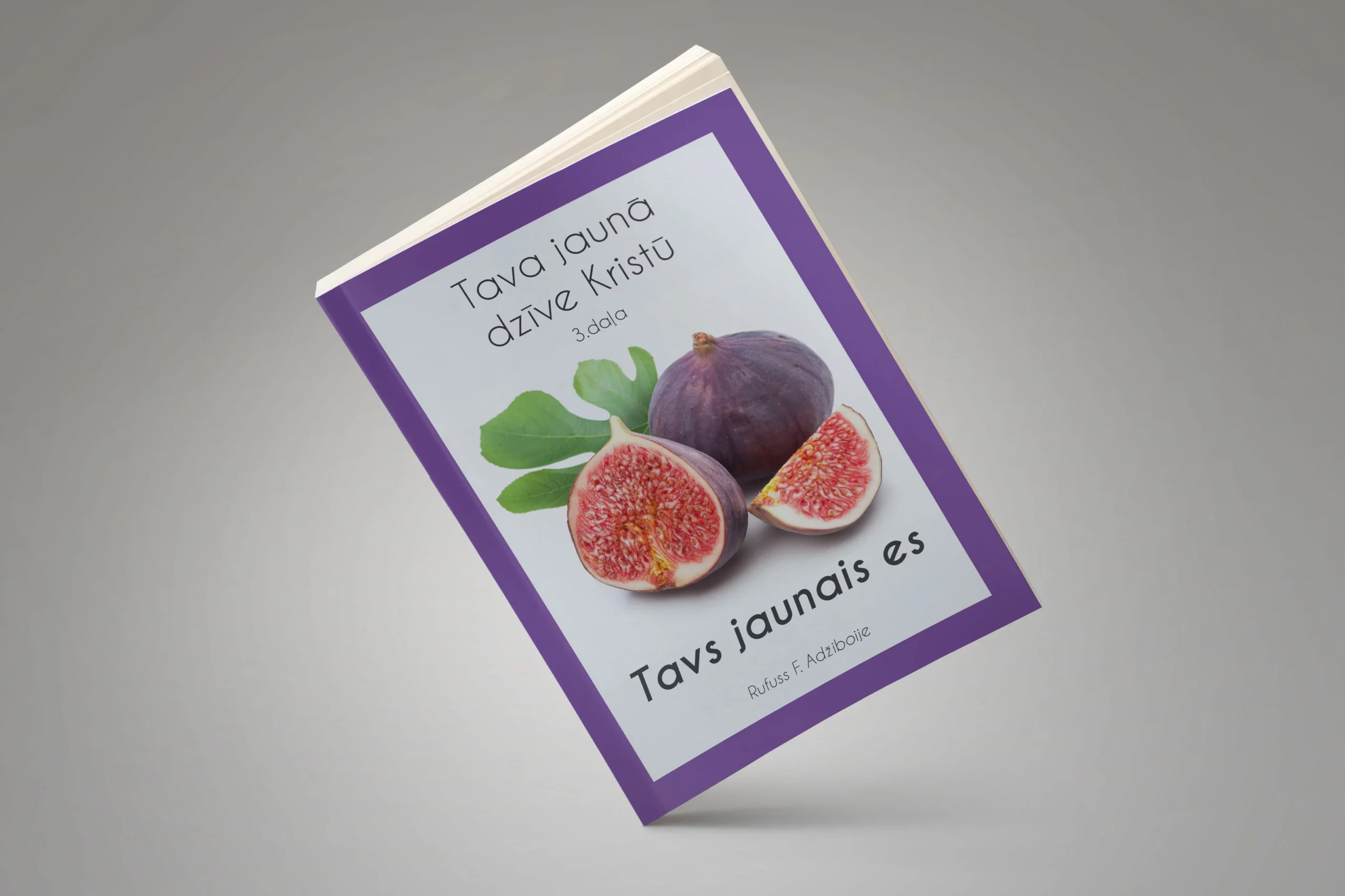 Tava jaunā dzīve kristū - Tavs jaunais es